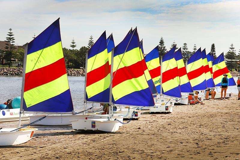 trysailing during SailFest Newcastle Regatta photo copyright Mark Rothfield taken at Newcastle Cruising Yacht Club and featuring the Optimist class