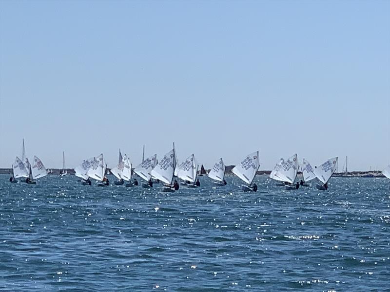 Bosham Optimist Open photo copyright Sarah Shepherd taken at Bosham Sailing Club and featuring the Optimist class