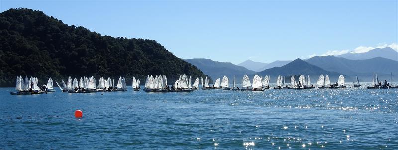 Burnsco National Optimist team racing before the Toyota NZ Optimist Nationals begins photo copyright QCYC taken at Queen Charlotte Yacht Club and featuring the Optimist class