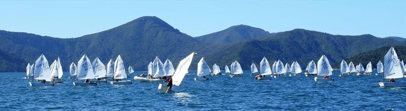 Day 2- 2018 Toyota NZ Optimist National Chmapionships - Queen Charlotte Yacht Club photo copyright Christel Hopkins taken at Queen Charlotte Yacht Club and featuring the Optimist class