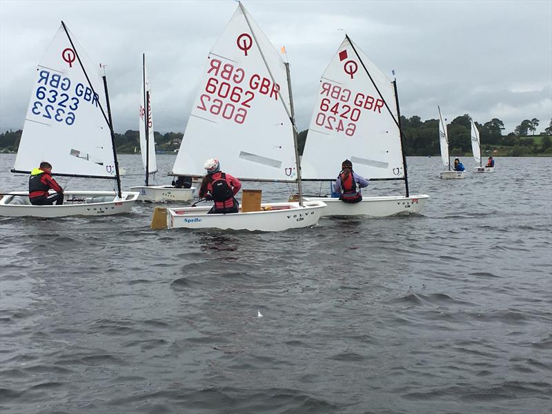 Optimist open meeting at Annandale photo copyright Antony Gifford taken at Annandale Sailing Club and featuring the Optimist class