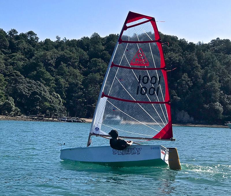 With a bigger sail area and diferent style of rig the O- Pro is more powerful than the Optimist photo copyright Richard Gladwell taken at  and featuring the Optimist class