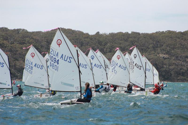 Optimists on day 1 of the NSW Youth Championship at Lake Macquarie photo copyright Stephen Collopy taken at South Lake Macquarie Amateur Sailing Club and featuring the Optimist class