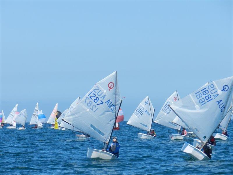 2018 Sail Sandy Regatta photo copyright Chris Furey taken at Sandringham Yacht Club and featuring the Optimist class