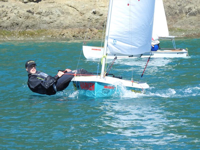 Harry   Harry Edwards - Starling sailor - winner of Nationals Starling match racing photo copyright Queen Charlotte Yacht Club taken at Queen Charlotte Yacht Club and featuring the Optimist class