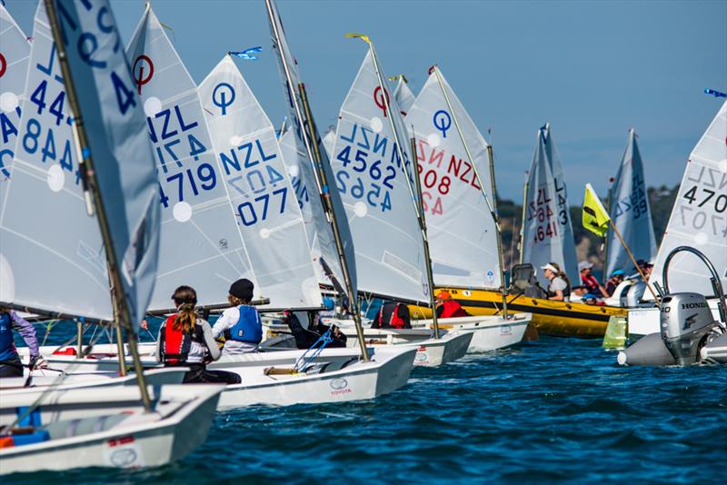 Day 3, 2019 Toyota NZ Optimist Nationals, April 2019, Murrays Bay Sailing Club photo copyright Rachel von Zalinski - LSD taken at Murrays Bay Sailing Club and featuring the Optimist class