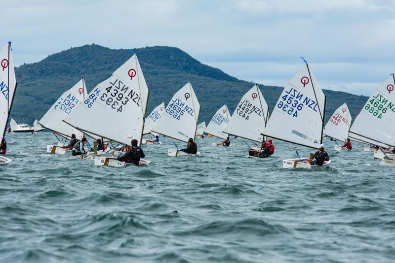 2019 Toyota NZ Optimist Nationals Day 4, April 2019 - Murrays Bay SC photo copyright Rachel von Zalinski - LSD taken at Murrays Bay Sailing Club and featuring the Optimist class