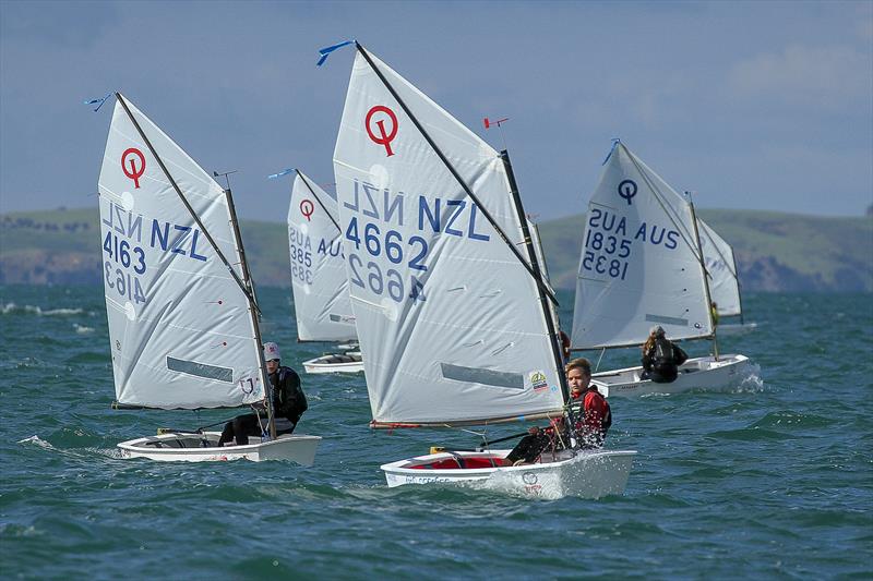Silver fleet - Day 6 - 2019 Toyota New Zealand Optimist National Championships, Murrays Bay, April 2019 photo copyright Richard Gladwell taken at Murrays Bay Sailing Club and featuring the Optimist class