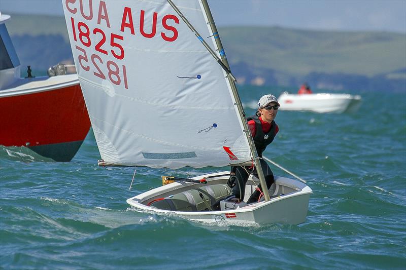 Daniel Links (AUS) - Royal Prince Alfred YC - Day 6 - 2019 Toyota New Zealand Optimist National Championships, Murrays Bay, April 2019 photo copyright Richard Gladwell taken at Murrays Bay Sailing Club and featuring the Optimist class