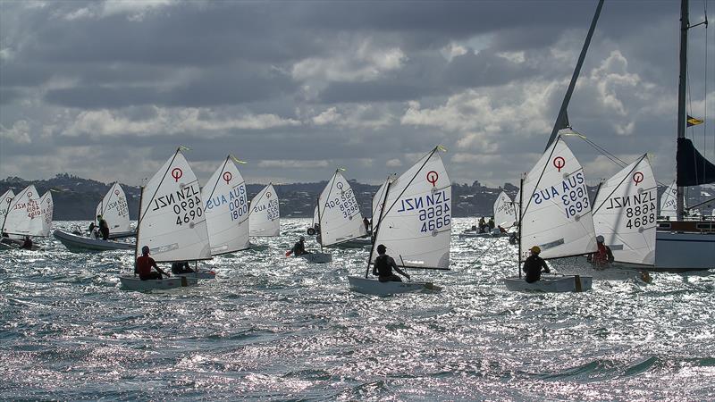 Gold fleet head for a new start- Day 6 - 2019 Toyota New Zealand Optimist National Championships, Murrays Bay, April 2019 photo copyright Richard Gladwell taken at Murrays Bay Sailing Club and featuring the Optimist class