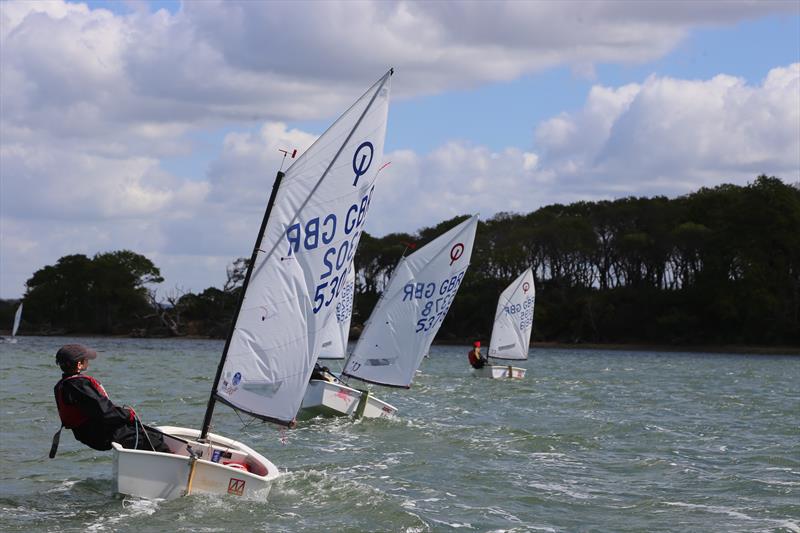 Rooster Optimist Southern Traveller Series visits Chichester - photo © Brian Ayton