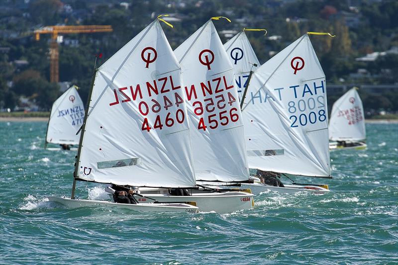 Toyota National Optimist Championships, Murrays Bay SC, April 2019 photo copyright Richard Gladwell taken at Murrays Bay Sailing Club and featuring the Optimist class