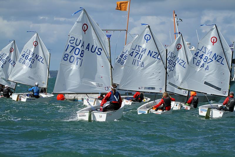 Toyota National Optimist Championships, Murrays Bay SC, April 2019 photo copyright Richard Gladwell taken at Murrays Bay Sailing Club and featuring the Optimist class