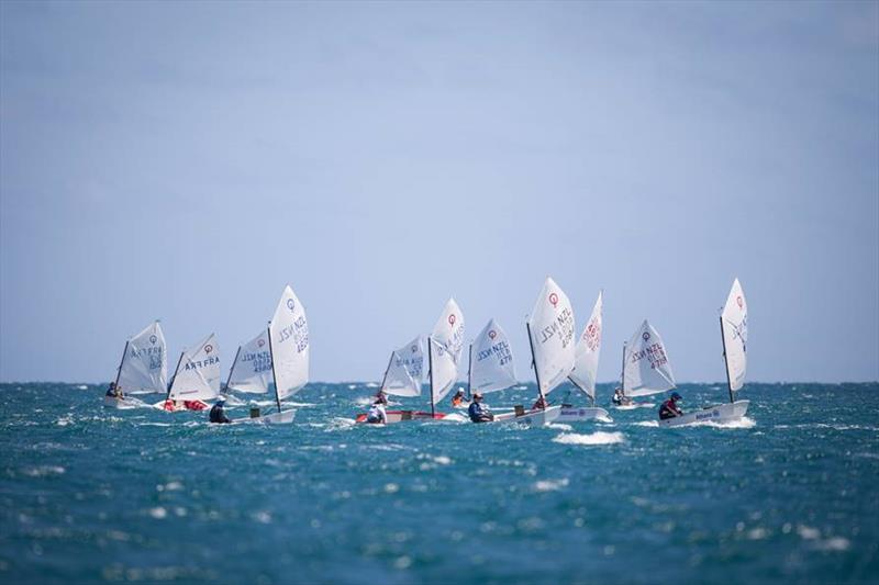 2019 Allianz Championship photo copyright Cercle Nautique Calédonien taken at Cercle Nautique Calédonien and featuring the Optimist class