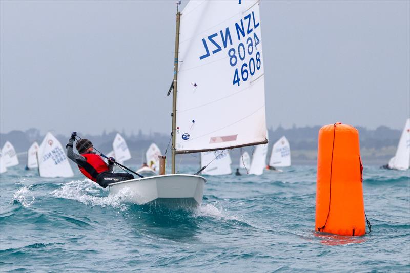 2019 Optimist North Island Championships - New Plymouth YC - November 2019 photo copyright Yachting New Zealand taken at  and featuring the Optimist class