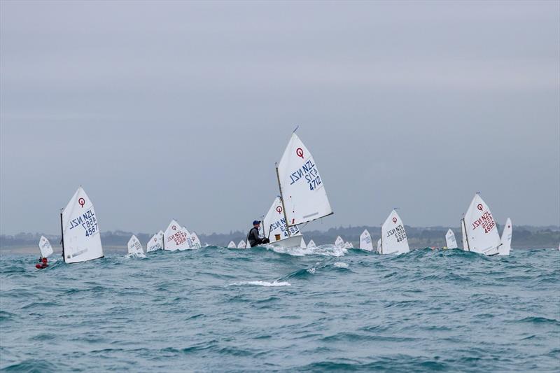 2019 Optimist North Island Championships - New Plymouth YC - November 2019 - photo © Yachting New Zealand