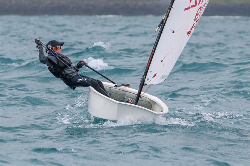 2019 Optimist North Island Championships - New Plymouth YC - November 2019 photo copyright Yachting New Zealand taken at  and featuring the Optimist class