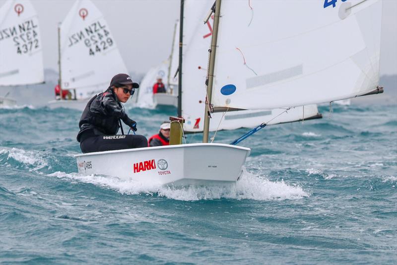 2019 Optimist North Island Championships - New Plymouth YC - November 2019 - photo © Yachting New Zealand