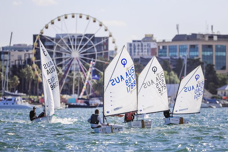 Festival of Sails - Junior sailors photo copyright Salty Dingo taken at Royal Geelong Yacht Club and featuring the Optimist class