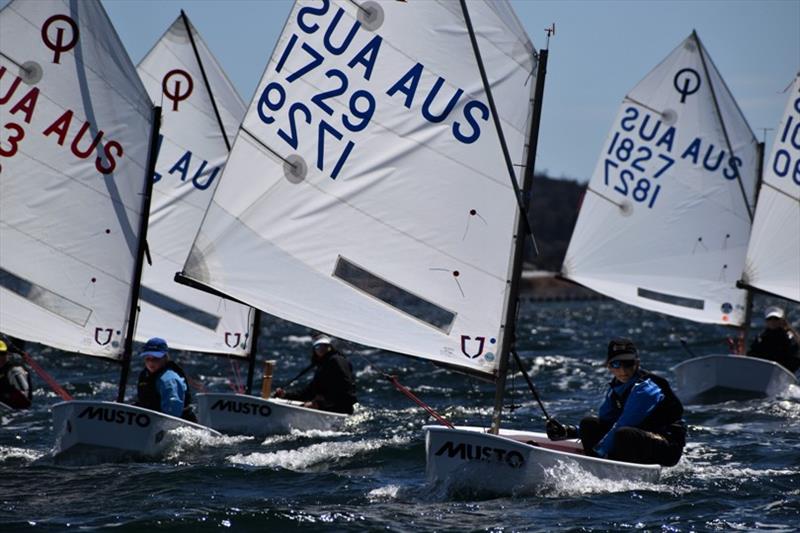 Tasmanian International Optimist Open and Intermedia Fleets - photo © Jane Austin