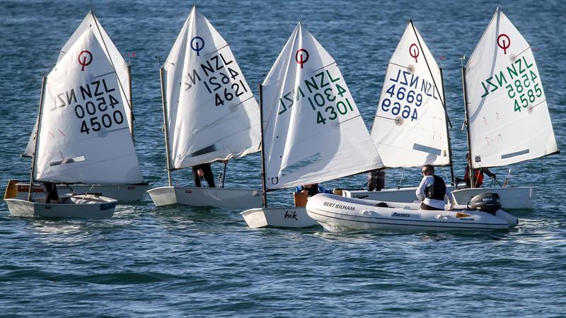 Optimists training off Wakatere -  May 16, 2020 - photo © Richard Gladwell / Sail-World.com