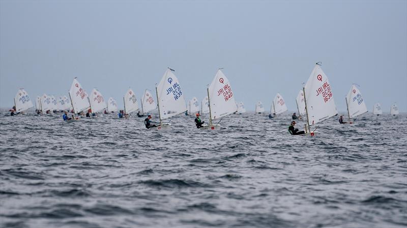 The Eighty Boat Optimist Fleet sailing in the AIB Irish Optimist National Championships hosted by the Royal Cork Yacht Club - photo © Bob Bateman