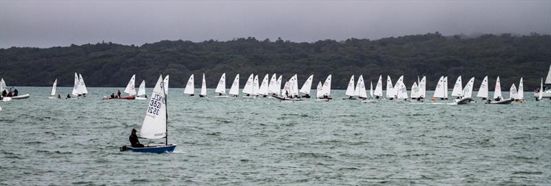 Wakatere BC - Optimist and Starling Auckland - Day 2 - February 6, 2022, - photo © Richard Gladwell - Sail-World.com/nz