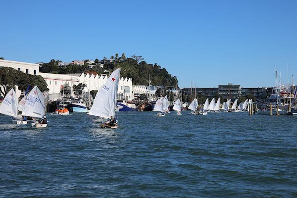 2022 Combined Optimist and Starling NZ Championships - April 2022 - Napier Sailing Club - photo © Bruce Jenkins/Napier SC