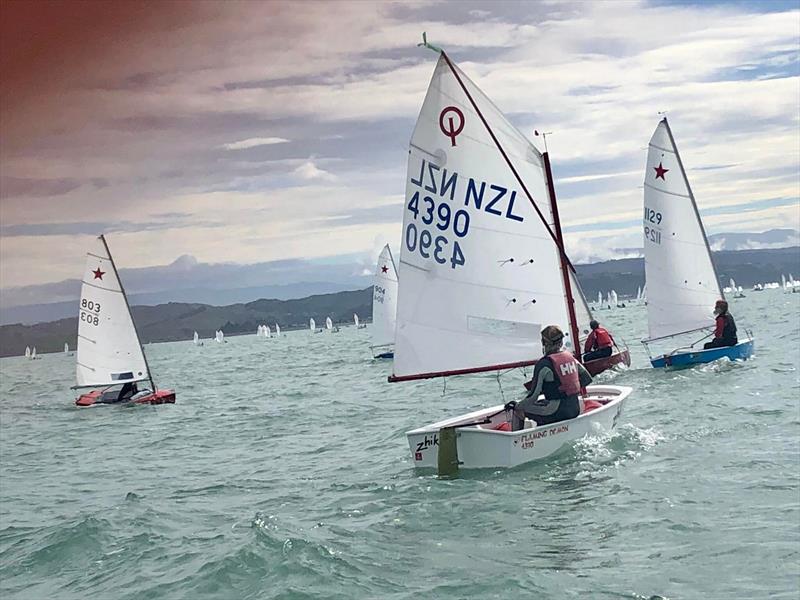 Heading for the race area on the Final Day - 2022 Combined Optimist and Starling NZ Championships - April 2022 - Napier Sailing Club photo copyright Wakatere BC taken at Napier Sailing Club and featuring the Optimist class