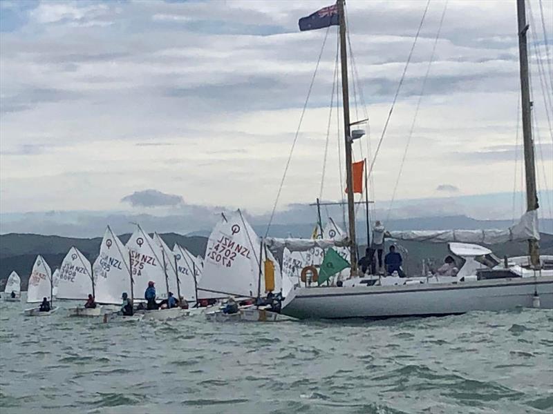 One of the Optimist fleets gets underway on the final day - 2022 Combined Optimist and Starling NZ Championships - April 2022 - Napier Sailing Club photo copyright Wakatere Boating Club taken at Napier Sailing Club and featuring the Optimist class