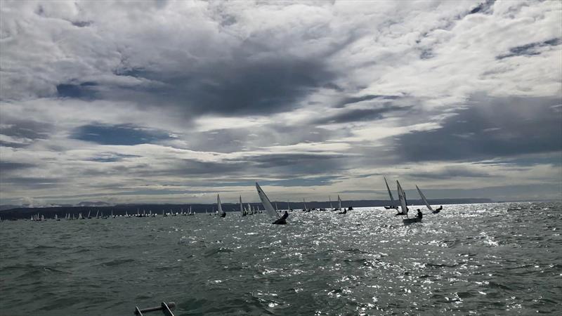 Final Day racing under leaden skies - 2022 Combined Optimist and Starling NZ Championships - April 2022 - Napier Sailing Club - photo © Wakatere Boating Club