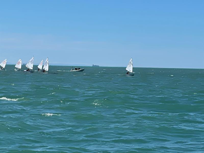Toyota Optimist and Starling NZ Nationals - April 2022 - Napier Sailing Club  photo copyright Wakatere BC taken at Wakatere Boating Club and featuring the Optimist class