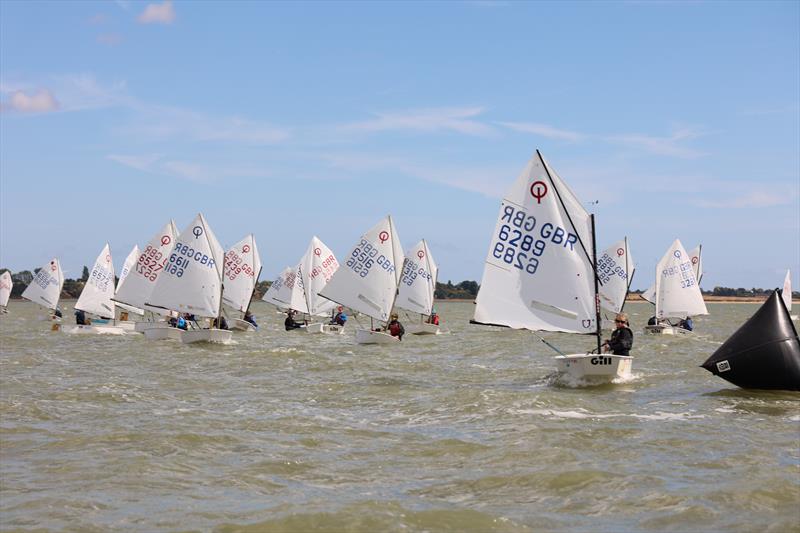 Gill Optimist Late Summer Championship at Brightlingsea photo copyright Ana Lau taken at Brightlingsea Sailing Club and featuring the Optimist class