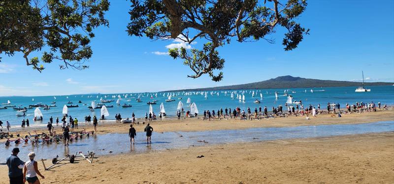 Day 2 - 2023 Toyota Optimist NZ Nationals - Wakatere BC  photo copyright Tasman Rowntree, Wakatere BC taken at Wakatere Boating Club and featuring the Optimist class