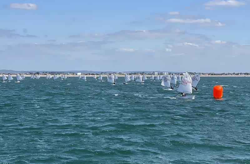 Hayling Island Open 2023 photo copyright Paul Sanwell / OPP taken at Hayling Island Sailing Club and featuring the Optimist class