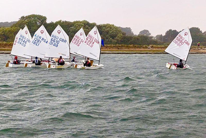 Xtremity Optimist open meeting at Bosham photo copyright IOCA taken at Bosham Sailing Club and featuring the Optimist class