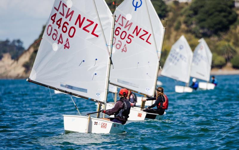 PredictWind Girls Regatta. Kohimarama Yacht Club. - March 22, 2025 photo copyright Suellen Hurling taken at  and featuring the Optimist class