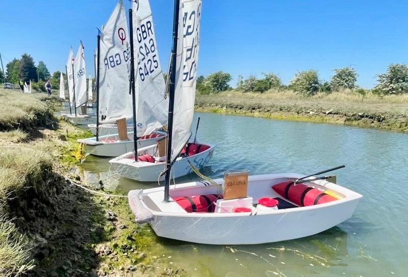 Corinthian Otters Explore Lion Creek, River Crouch - photo © Steve Hall / Steve Kimber