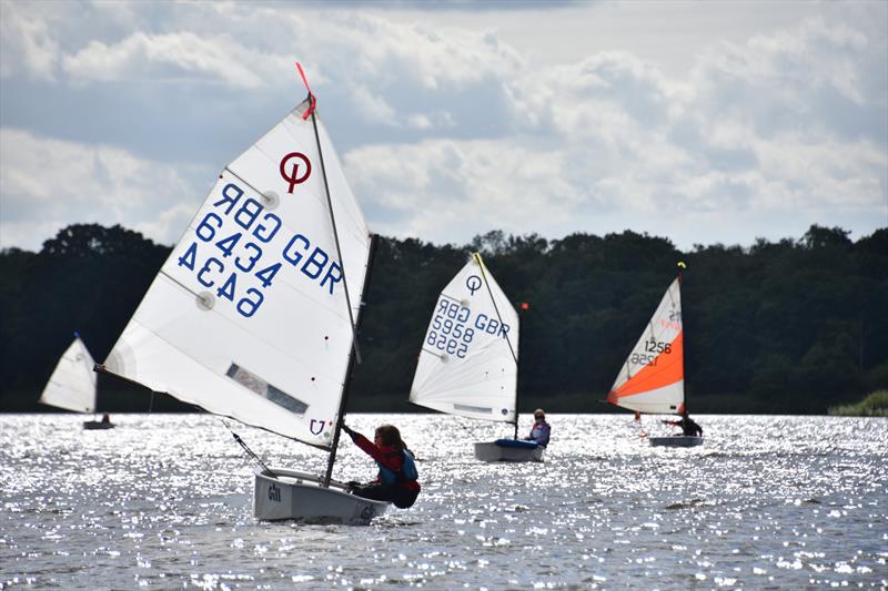 Broadland Youth Regatta at Rollesby Broad photo copyright Trish Barnes taken at Rollesby Broad Sailing Club and featuring the Optimist class