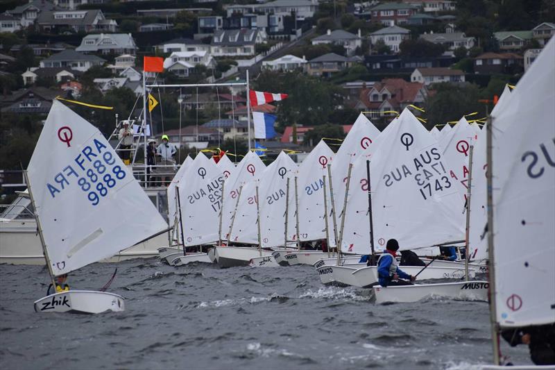 Gold Fleet counting down to the start sequence of the final race of the regatta - 2026 Musto Australian Optimist Championship photo copyright Jane Austin taken at Royal Yacht Club of Tasmania and featuring the Optimist class