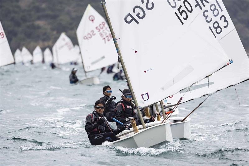 Sun Hung Kai & Co. Hong Kong Race Week 2026 photo copyright RHKYC / Isaac Lawrence taken at Royal Hong Kong Yacht Club and featuring the Optimist class