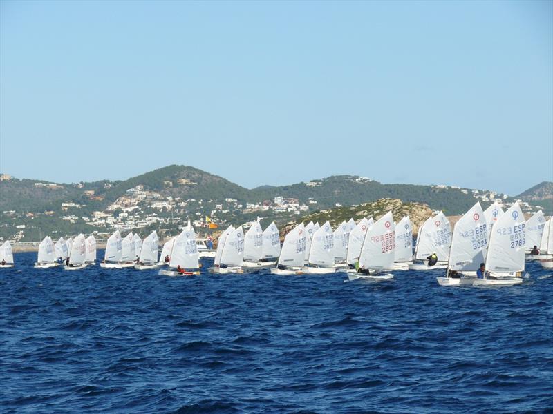 Optimist Class Championship photo copyright Marina Ibiza taken at  and featuring the Optimist class