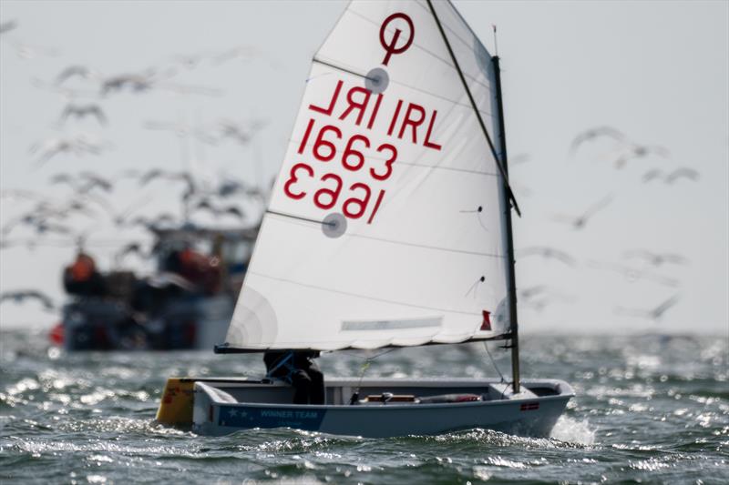 Brassed Off Cup at Howth YC photo copyright Annraoi Blaney taken at Howth Yacht Club and featuring the Optimist class