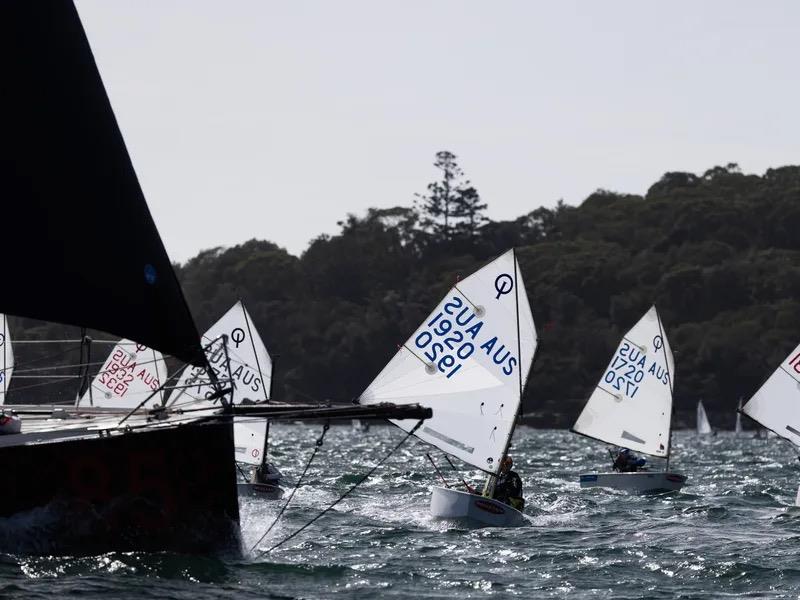 2026 NSW Optimist Interclub Series Round 1 photo copyright mainsheet.in taken at Woollahra Sailing Club and featuring the Optimist class