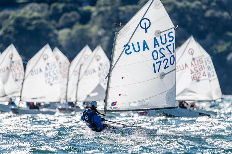 2026 NSW Optimist Interclub Series photo copyright Andrew C Lee taken at Royal Sydney Yacht Squadron and featuring the Optimist class