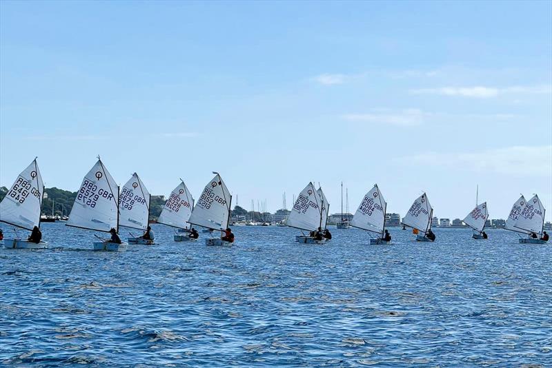 Racing Regatta - Optimist open meeting at Parkstone photo copyright Rob Clark taken at Parkstone Yacht Club and featuring the Optimist class