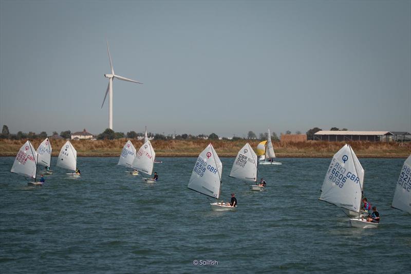 96th Otter Week in Burnham photo copyright Sailfish taken at Royal Corinthian Yacht Club and featuring the Optimist class