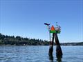 A resident icon departs the channel marker off of Bainbridge Island's aptly name Eagle Harbor © David Schmidt