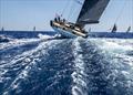 &copy; Kurt Arrigo