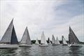 &copy; AGORA direct MidsummerSail